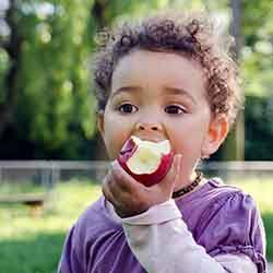 Little boy eating an apple